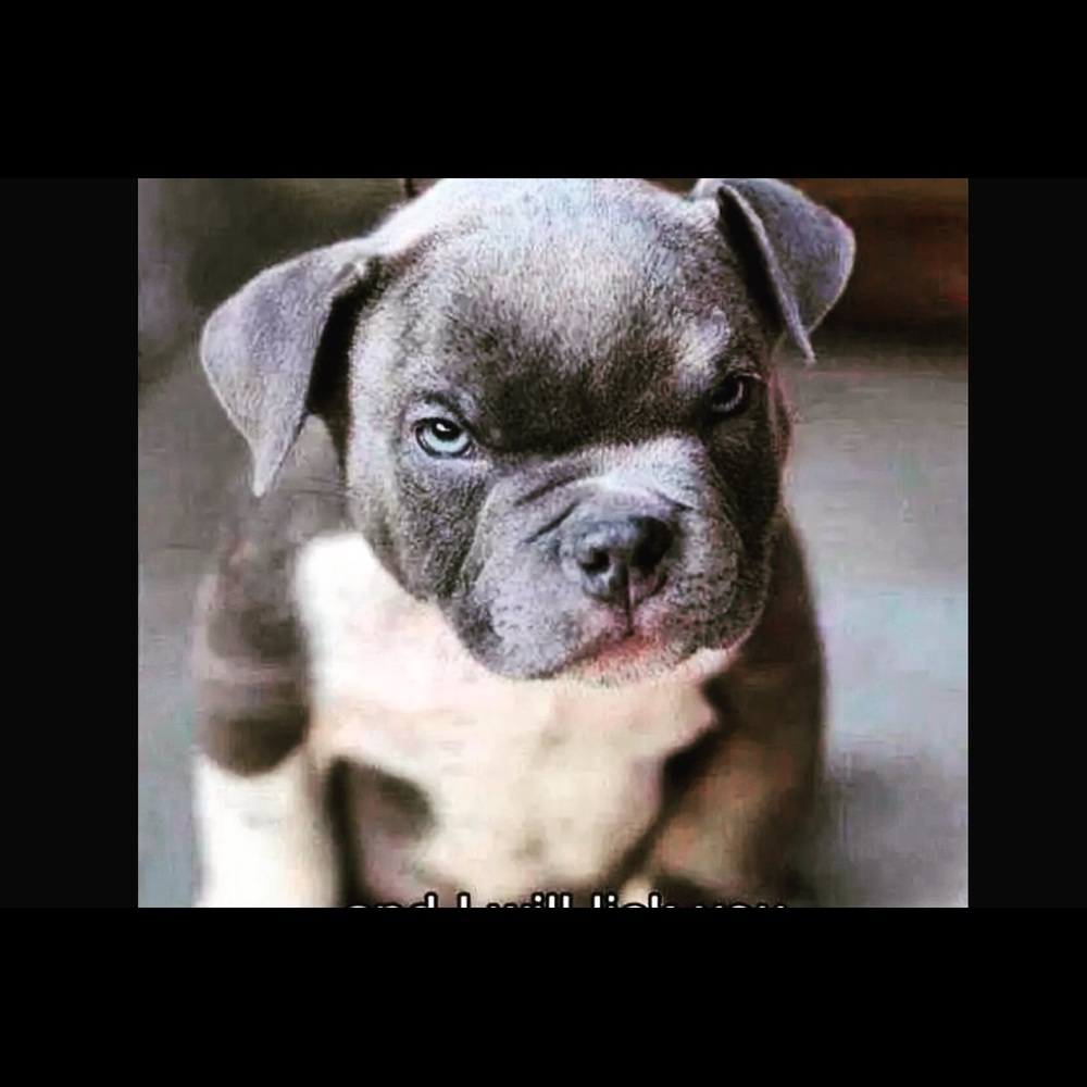 Meet your Posher, Keith